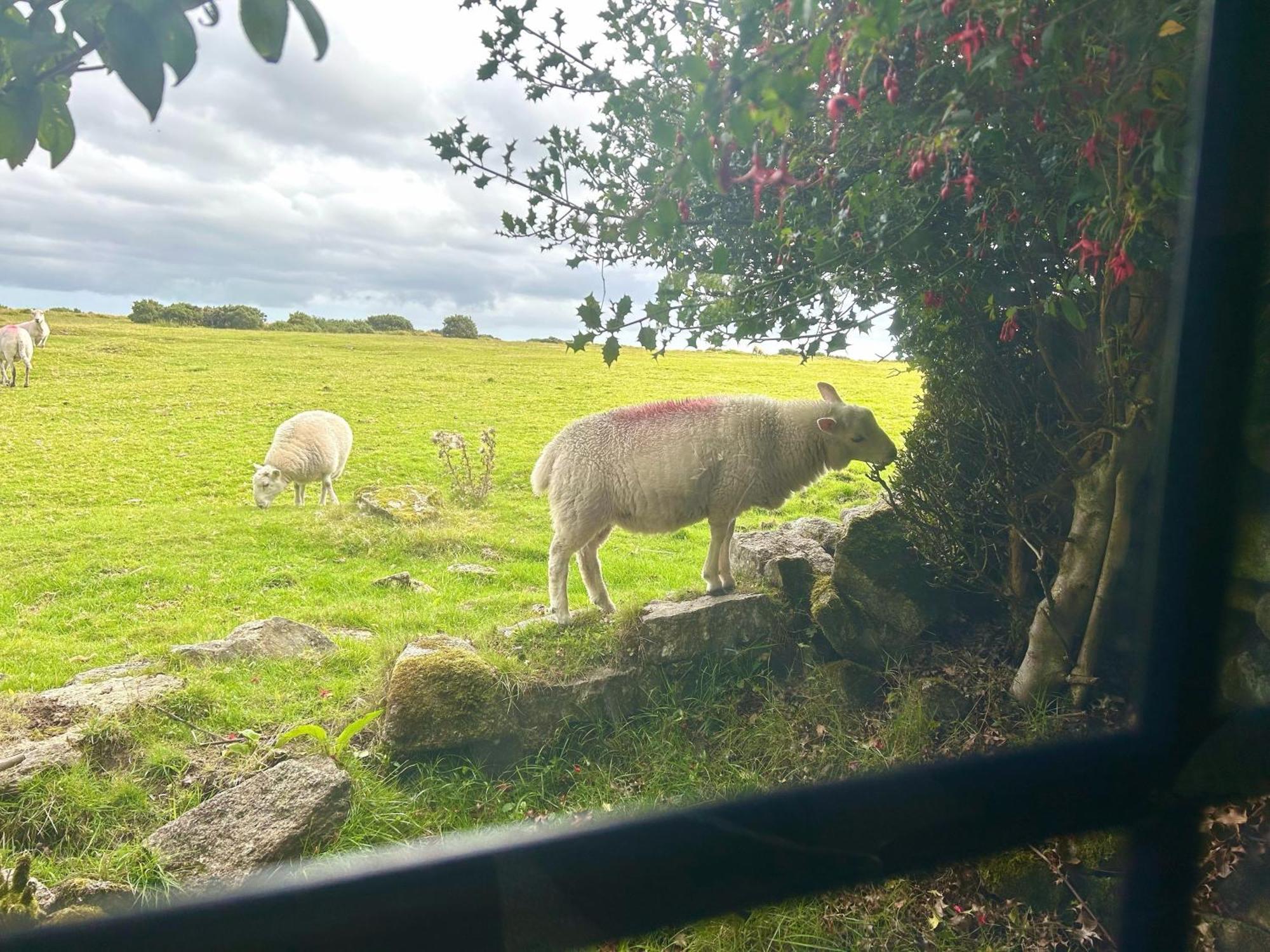 Hallagenna Cottages Bodmin Luaran gambar